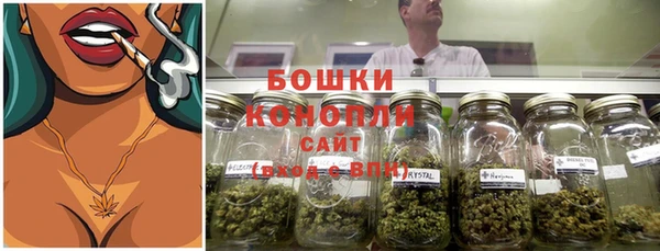 бошки Богданович